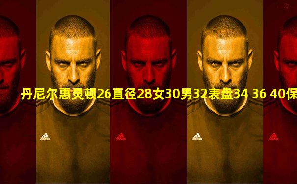 丹尼尔惠灵顿26直径28女30男32表盘34 36 40保护贴膜